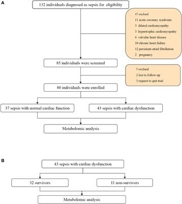 Untargeted metabolomic profiling of sepsis-induced cardiac dysfunction